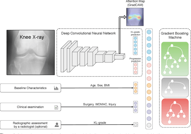 Figure 1 for Multimodal Machine Learning-based Knee Osteoarthritis Progression Prediction from Plain Radiographs and Clinical Data