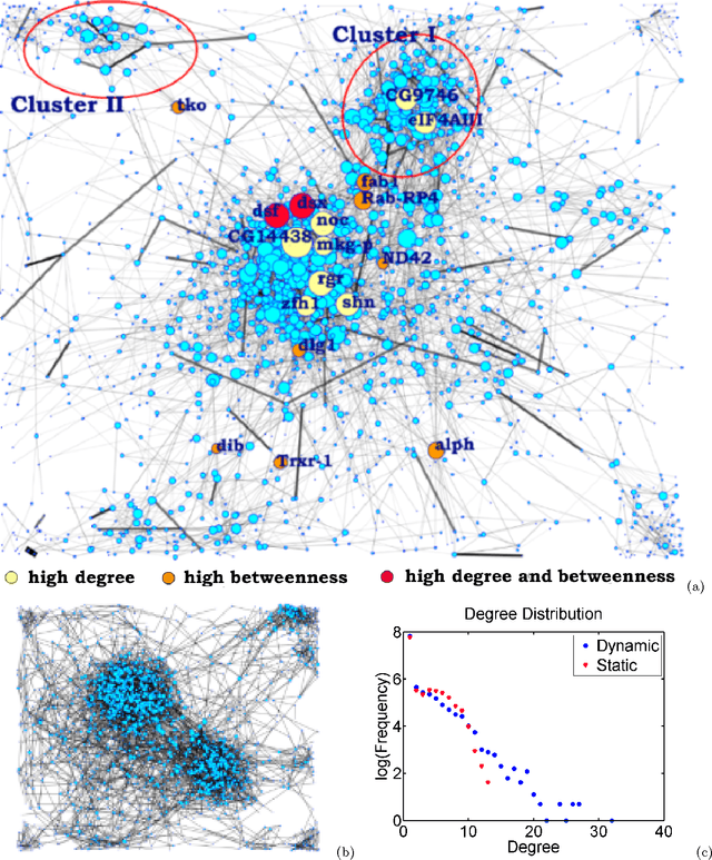 Figure 4 for Time-Varying Networks: Recovering Temporally Rewiring Genetic Networks During the Life Cycle of Drosophila melanogaster