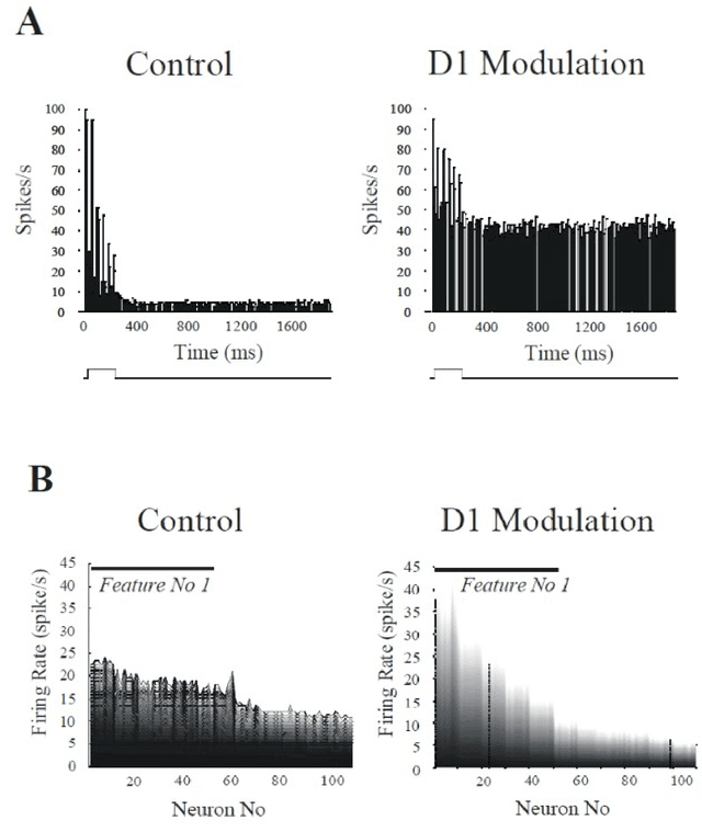 Figure 2 for Dopamine modulation of prefrontal delay activity-reverberatory activity and sharpness of tuning curves