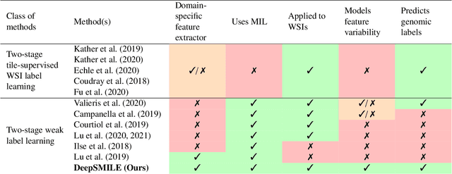 Figure 1 for DeepSMILE: Self-supervised heterogeneity-aware multiple instance learning for DNA damage response defect classification directly from H&E whole-slide images