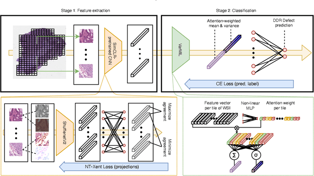 Figure 2 for DeepSMILE: Self-supervised heterogeneity-aware multiple instance learning for DNA damage response defect classification directly from H&E whole-slide images