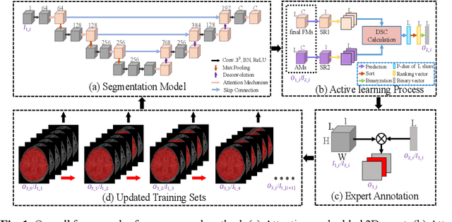 Figure 1 for A sparse annotation strategy based on attention-guided active learning for 3D medical image segmentation
