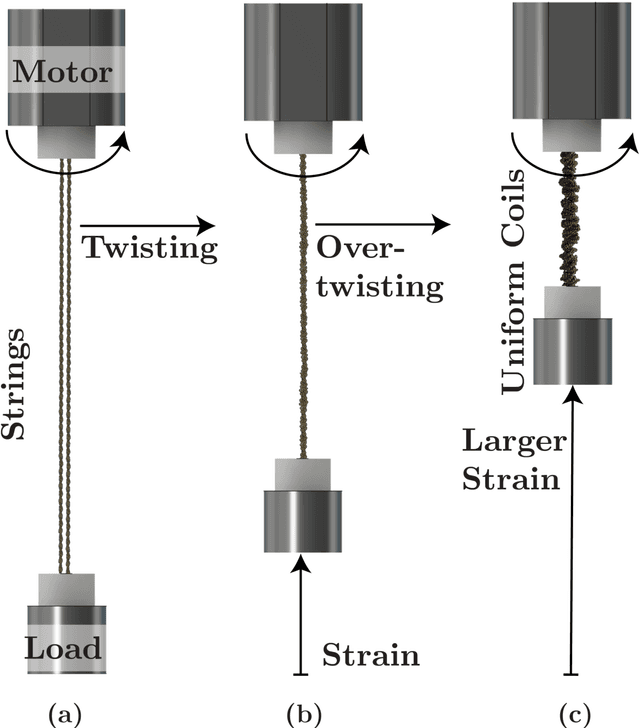 Figure 1 for Overtwisting and Coiling Highly Enhances Strain Generation of Twisted String Actuators