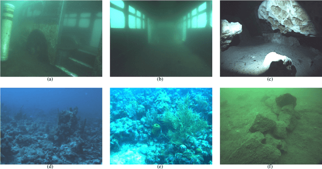 Figure 2 for Experimental Comparison of Open Source Visual-Inertial-Based State Estimation Algorithms in the Underwater Domain