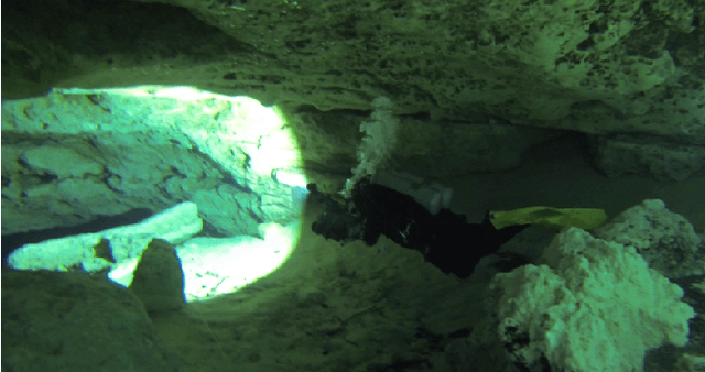 Figure 3 for Experimental Comparison of Open Source Visual-Inertial-Based State Estimation Algorithms in the Underwater Domain