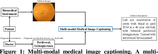 Figure 1 for Contextualized Keyword Representations for Multi-modal Retinal Image Captioning
