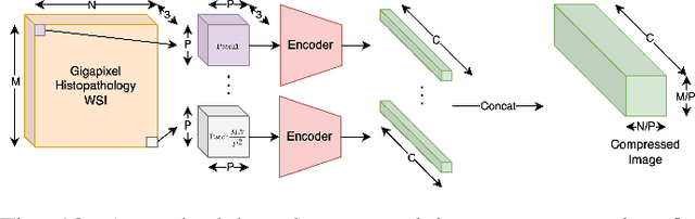 Figure 2 for Efficient High-Resolution Deep Learning: A Survey