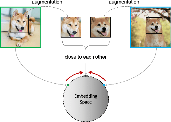 Figure 1 for Towards the Generalization of Contrastive Self-Supervised Learning
