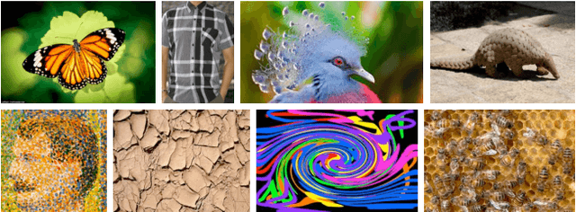 Figure 1 for Describing Textures in the Wild