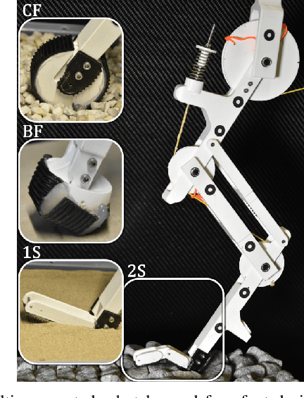 Figure 1 for Multi-segmented Adaptive Feet for Versatile Legged Locomotion in Natural Terrain