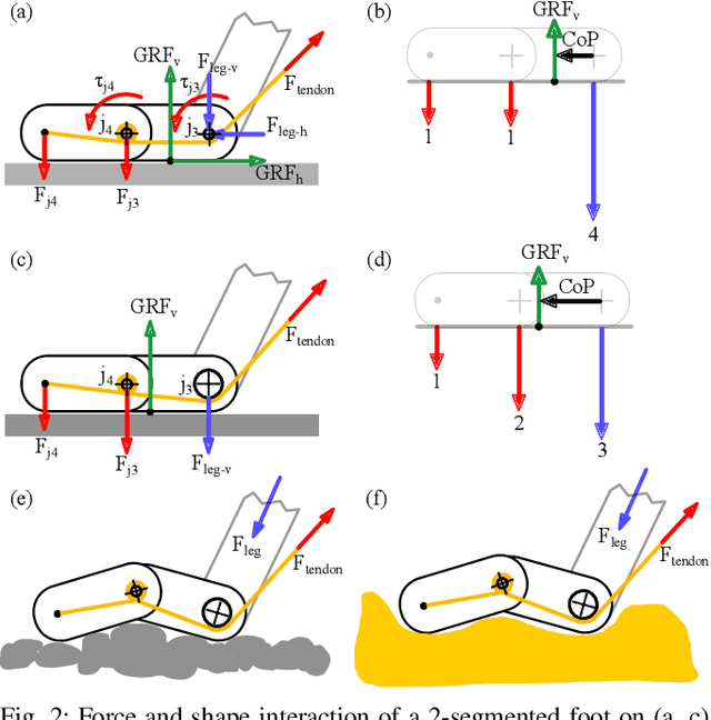 Figure 3 for Multi-segmented Adaptive Feet for Versatile Legged Locomotion in Natural Terrain