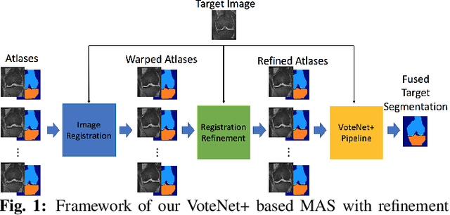 Figure 1 for VoteNet++: Registration Refinement for Multi-Atlas Segmentation