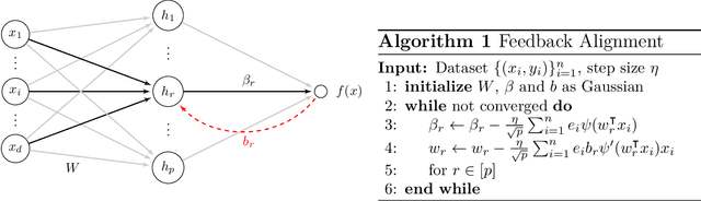 Figure 1 for Convergence and Alignment of Gradient Descentwith Random Back propagation Weights