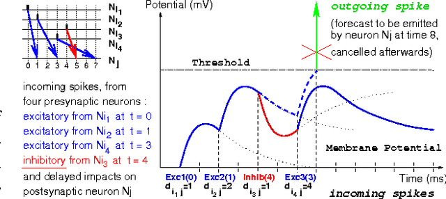 Figure 1 for DAMNED: A Distributed and Multithreaded Neural Event-Driven simulation framework