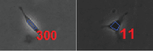 Figure 1 for Normalized Compression Distance of Multisets with Applications