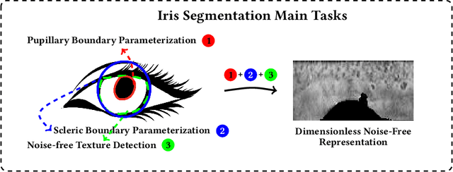 Figure 1 for Deep Learning for Iris Recognition: A Survey