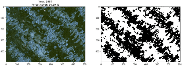 Figure 2 for Causal inference for climate change events from satellite image time series using computer vision and deep learning