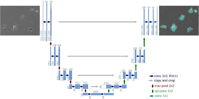 Figure 4 for Causal inference for climate change events from satellite image time series using computer vision and deep learning
