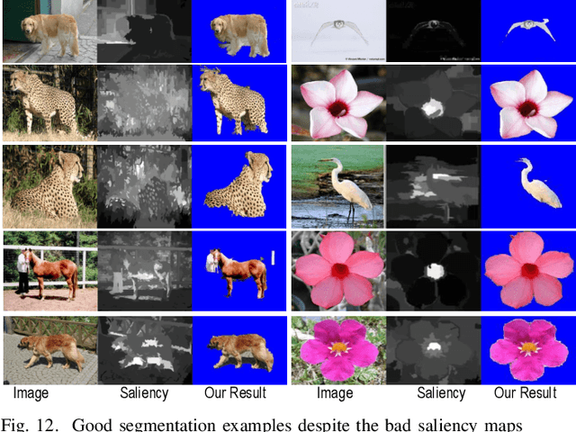 Figure 4 for Image Co-skeletonization via Co-segmentation