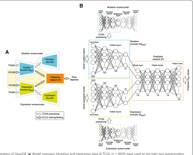 Figure 1 for Predicting drug response of tumors from integrated genomic profiles by deep neural networks