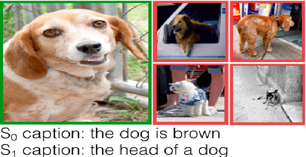 Figure 1 for Pragmatically Informative Image Captioning with Character-Level Inference