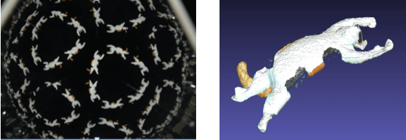 Figure 1 for A Linear Extrinsic Calibration of Kaleidoscopic Imaging System from Single 3D Point