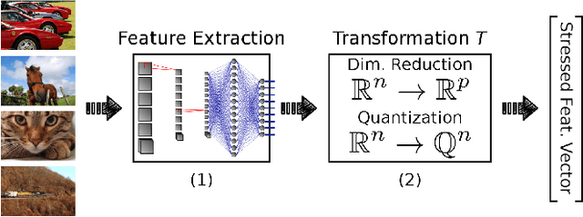 Figure 1 for Deep Neural Networks Under Stress