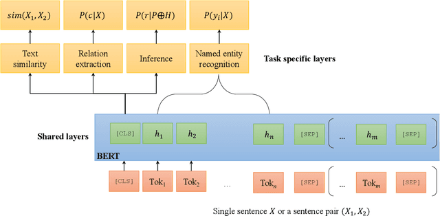 Figure 1 for An Empirical Study of Multi-Task Learning on BERT for Biomedical Text Mining