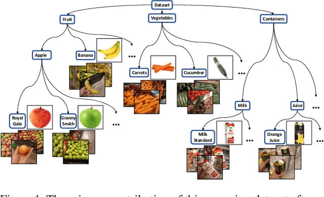Figure 1 for A Hierarchical Grocery Store Image Dataset with Visual and Semantic Labels
