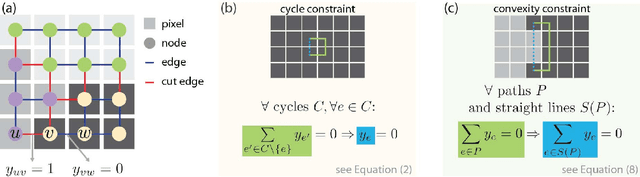 Figure 1 for Convexity Shape Constraints for Image Segmentation