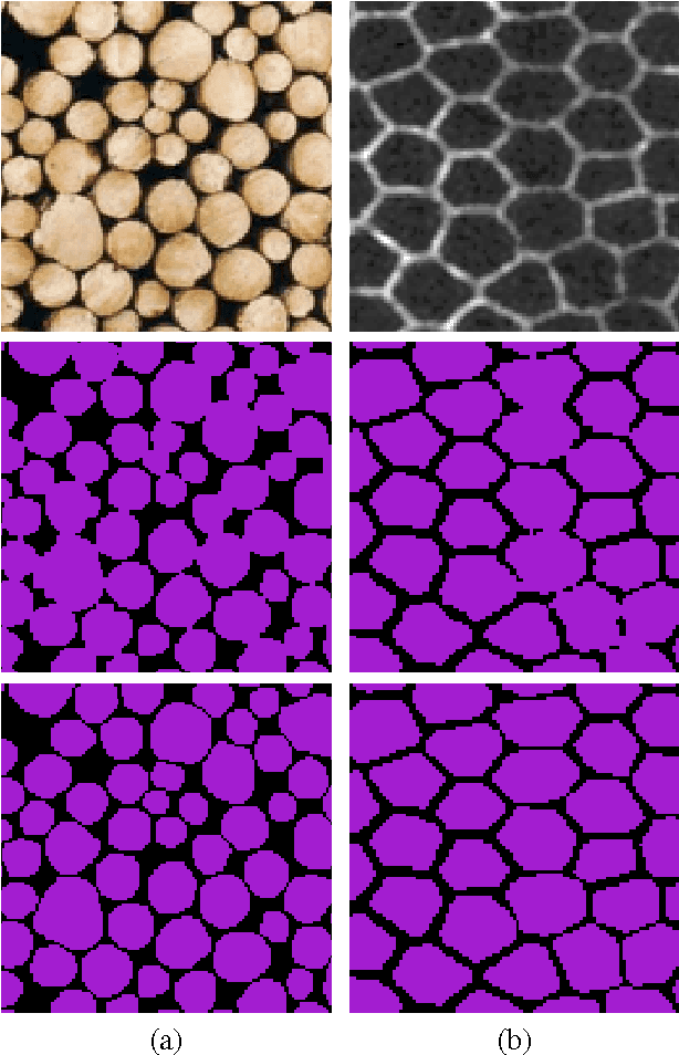 Figure 4 for Convexity Shape Constraints for Image Segmentation