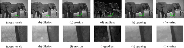 Figure 1 for Learning Deep Morphological Networks with Neural Architecture Search