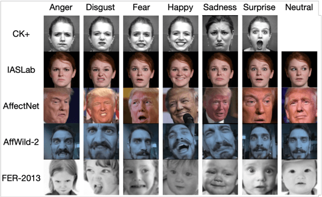 Figure 1 for A Systematic Evaluation of Domain Adaptation in Facial Expression Recognition