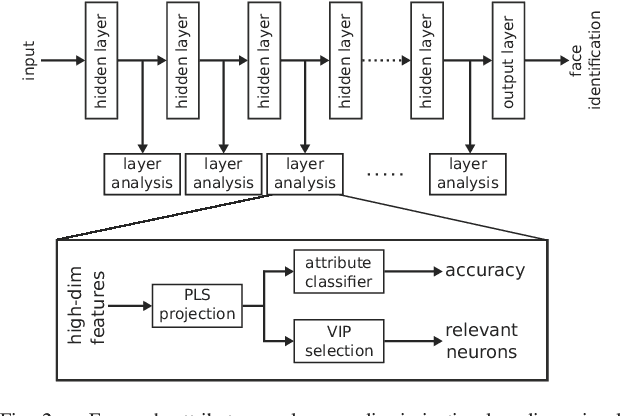 Figure 2 for Face Attributes as Cues for Deep Face Recognition Understanding