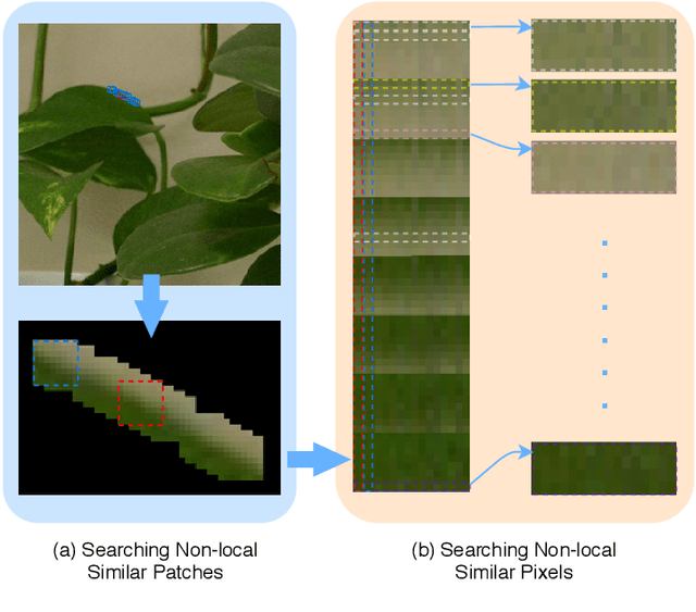 Figure 1 for NLH: A Blind Pixel-level Non-local Method for Real-world Image Denoising