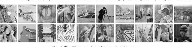 Figure 4 for NLH: A Blind Pixel-level Non-local Method for Real-world Image Denoising