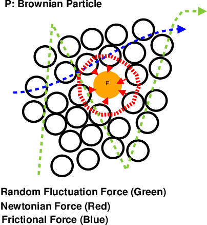 Figure 1 for Estimation of Linear Motion in Dense Crowd Videos using Langevin Model