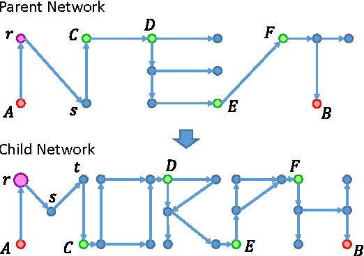 Figure 1 for Network Morphism