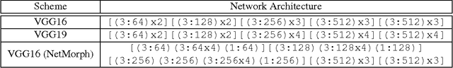Figure 4 for Network Morphism