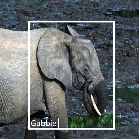 Figure 1 for Towards Automatic Identification of Elephants in the Wild
