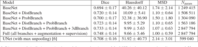 Figure 2 for Towards integrating spatial localization in convolutional neural networks for brain image segmentation