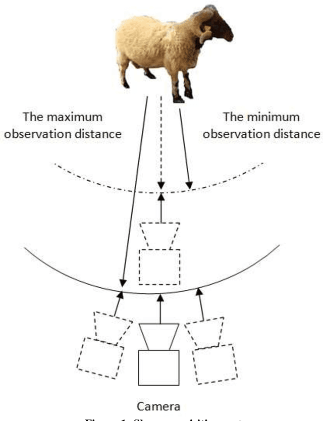 Figure 1 for Sheep identity recognition, age and weight estimation datasets