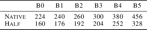 Figure 2 for Making EfficientNet More Efficient: Exploring Batch-Independent Normalization, Group Convolutions and Reduced Resolution Training