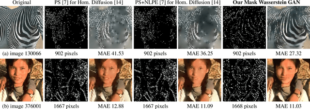 Figure 4 for A Wasserstein GAN for Joint Learning of Inpainting and its Spatial Optimisation