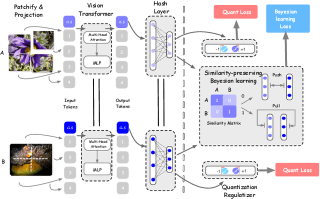 Figure 1 for TransHash: Transformer-based Hamming Hashing for Efficient Image Retrieval