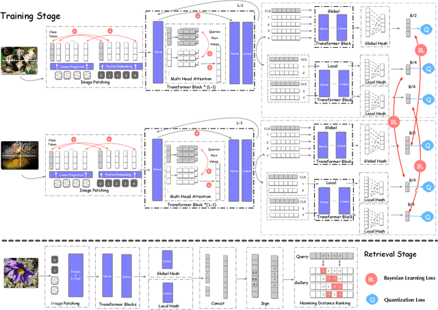 Figure 3 for TransHash: Transformer-based Hamming Hashing for Efficient Image Retrieval