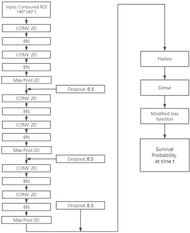 Figure 1 for CNN-based Survival Model for Pancreatic Ductal Adenocarcinoma in Medical Imaging