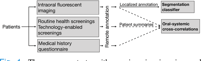 Figure 1 for Automated Process Incorporating Machine Learning Segmentation and Correlation of Oral Diseases with Systemic Health