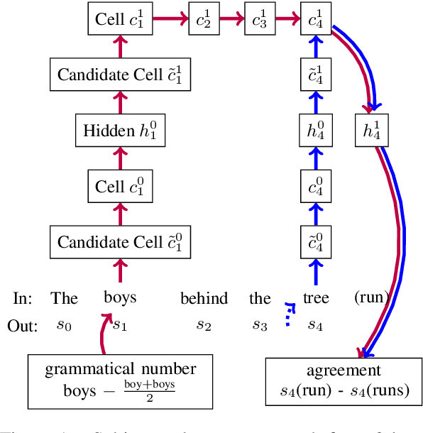 Figure 1 for Influence Paths for Characterizing Subject-Verb Number Agreement in LSTM Language Models