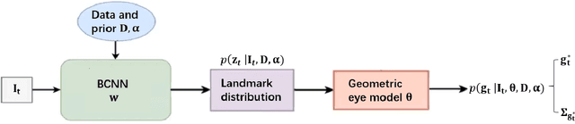 Figure 1 for Bayesian Eye Tracking